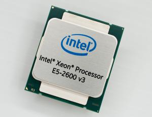 Intel Xeon E5-2608Lv3 2.0Ghz 6C